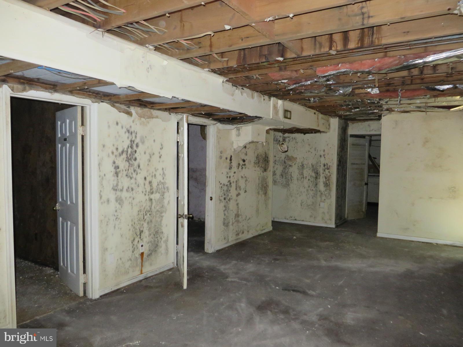 WOLF TRAP WOODS - Residential