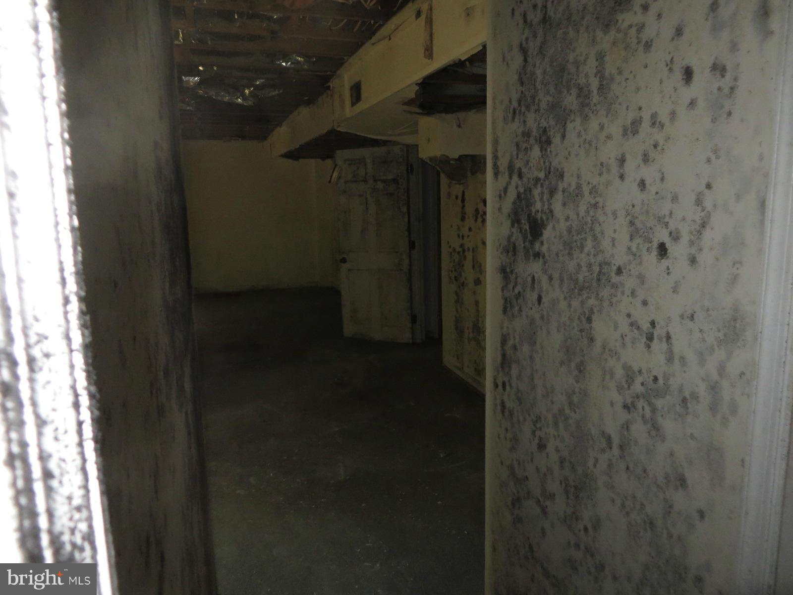 WOLF TRAP WOODS - Residential