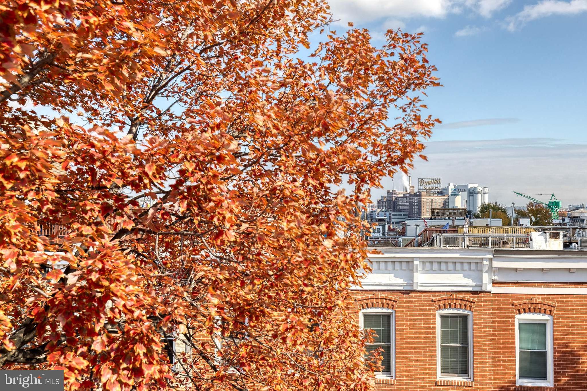 FEDERAL HILL HISTORIC DISTRICT - Residential Lease