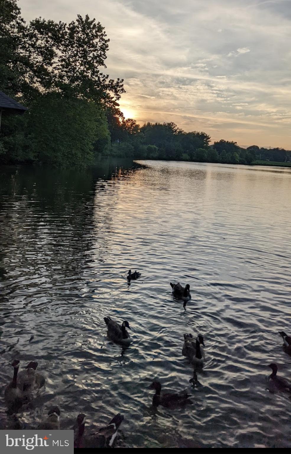 WHETSTONE - Residential