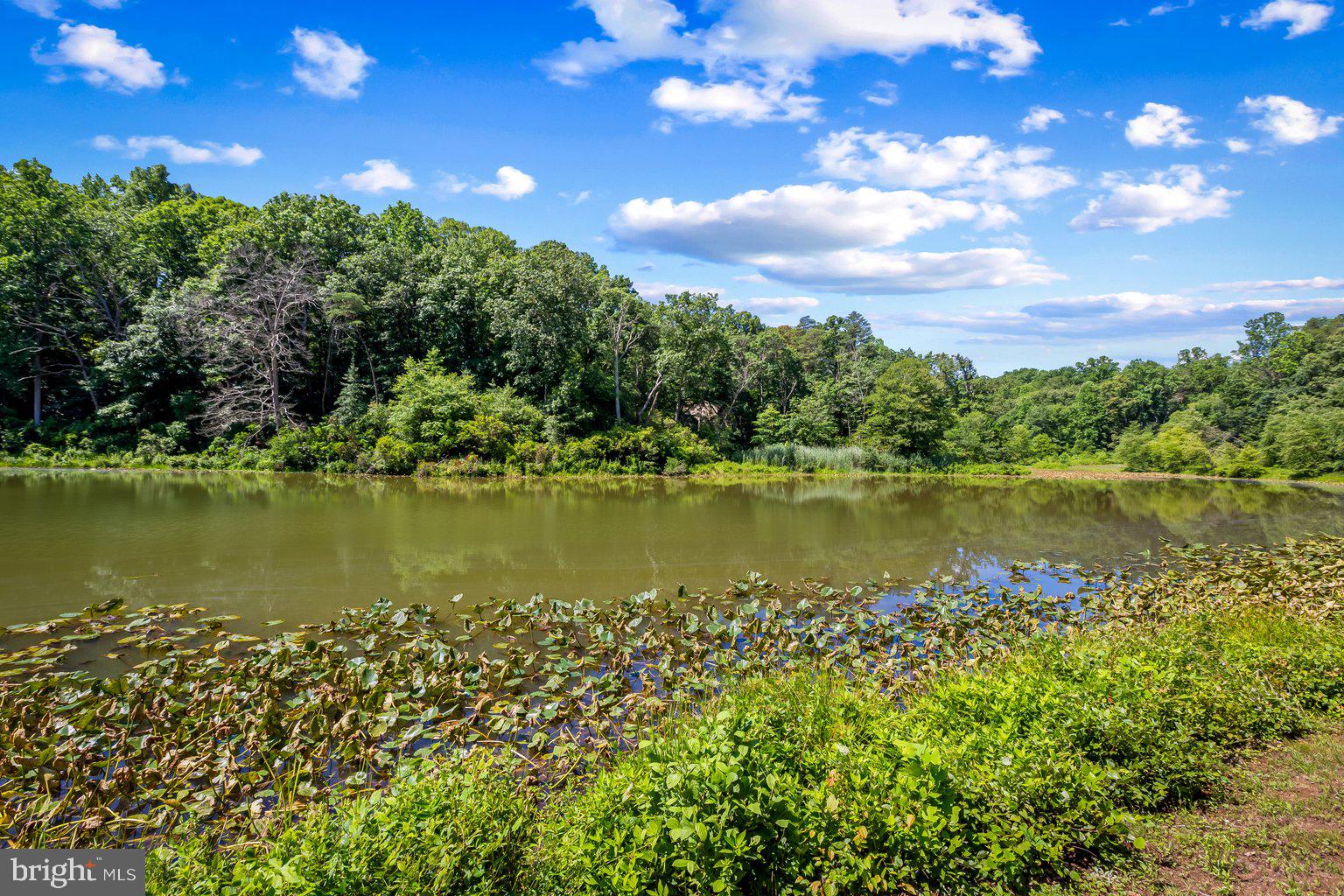 LAKE OF THE PINES - Residential