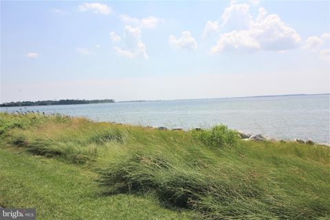 listing image 47