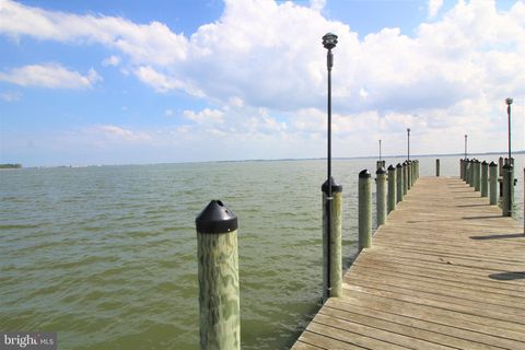 listing image 46