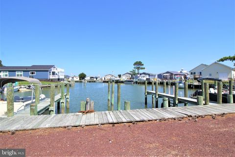listing image 40