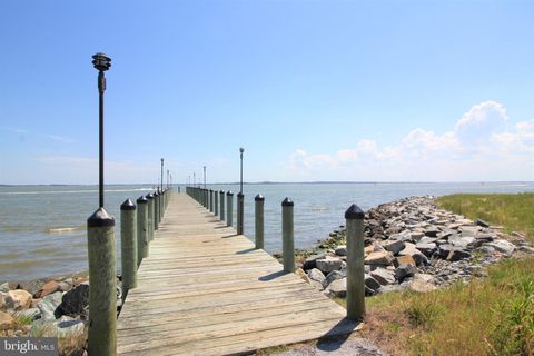 listing image 45