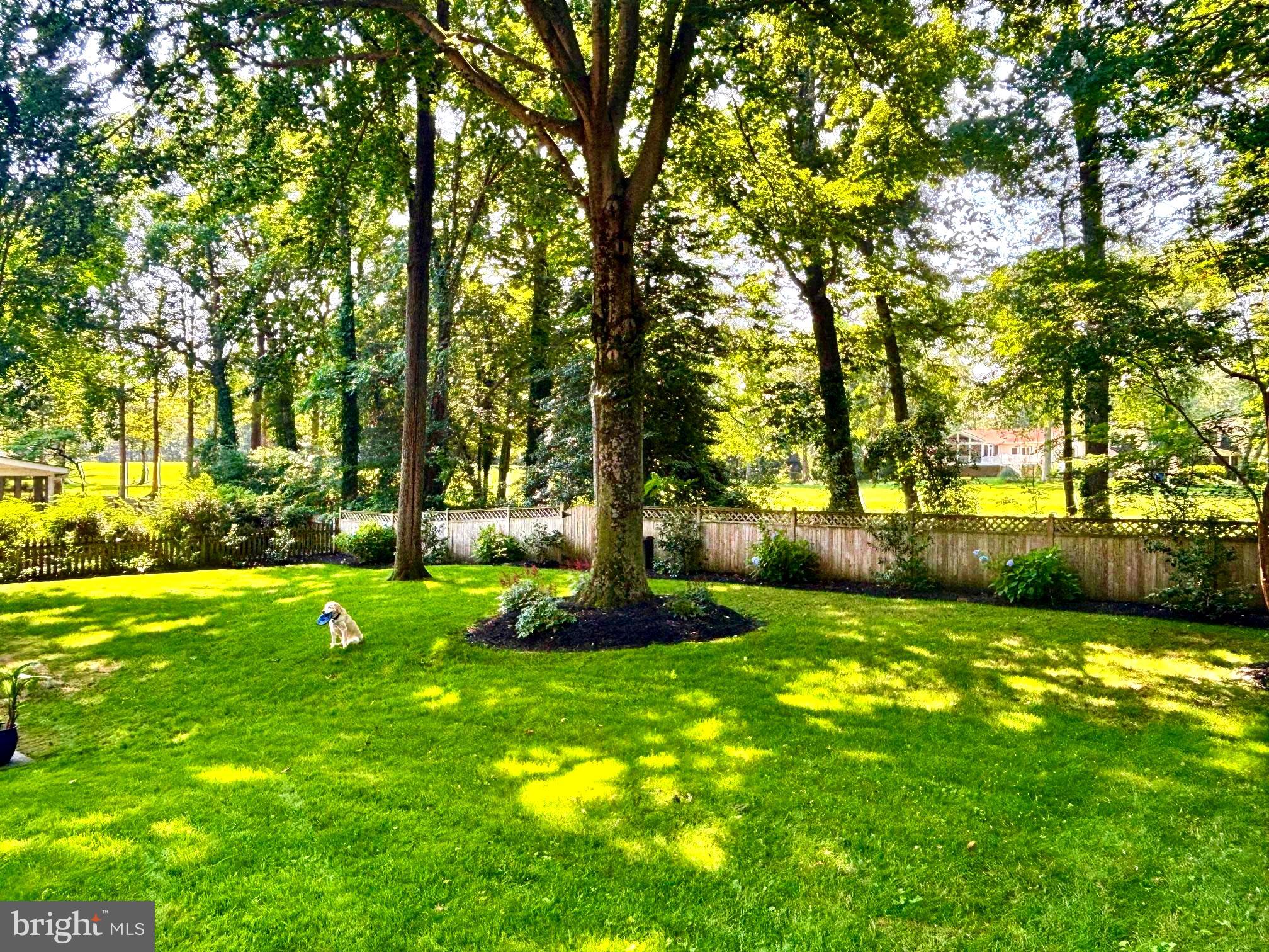 CROFTON PARK - Residential