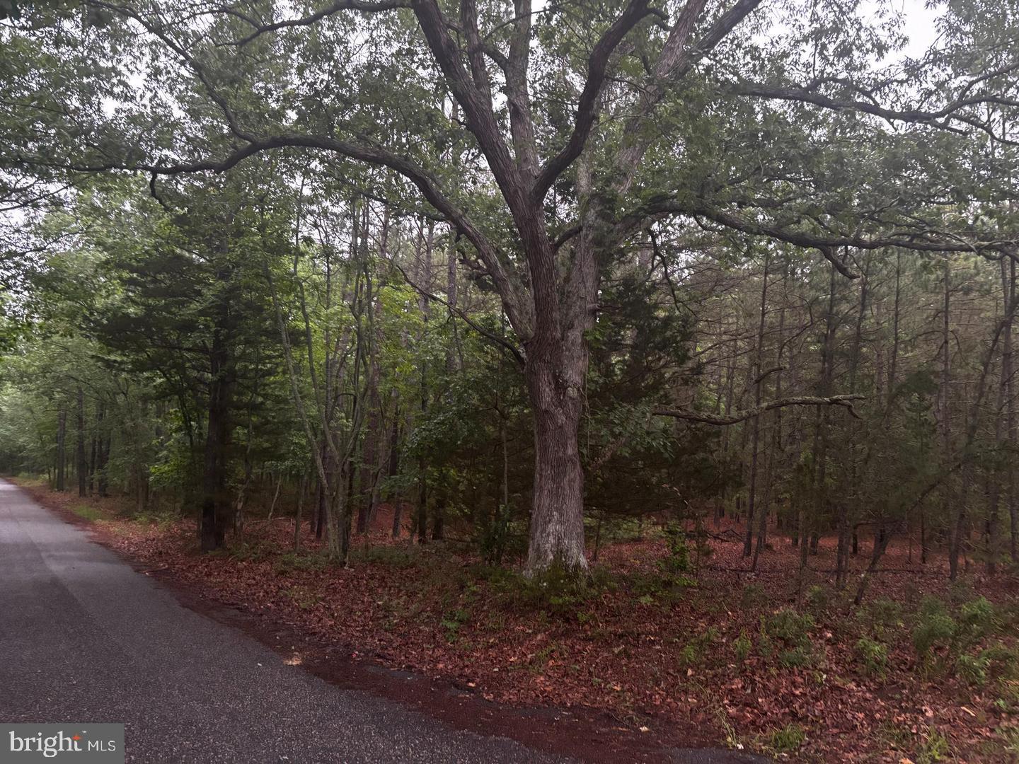 6756 SIXTEENTH AVENUE