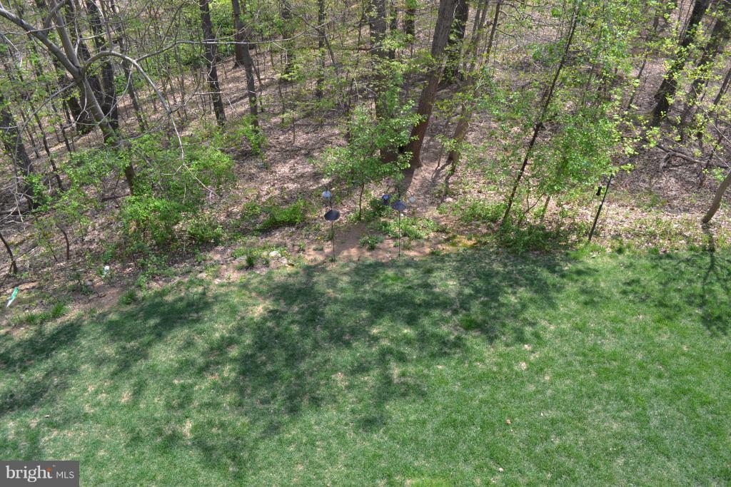 TRALEE FOREST - Residential Lease