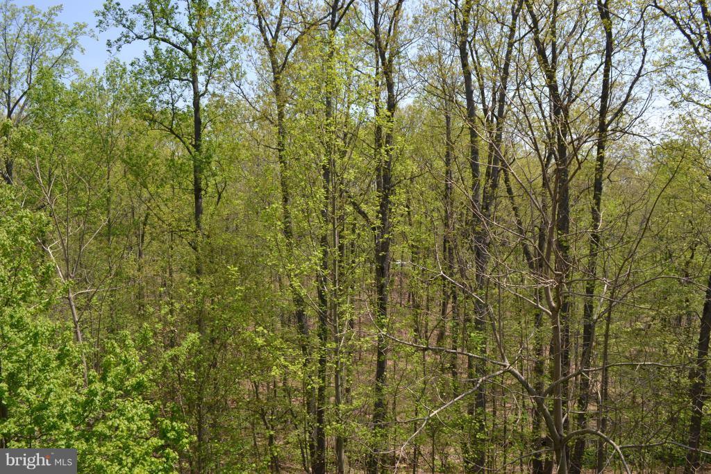 TRALEE FOREST - Residential Lease