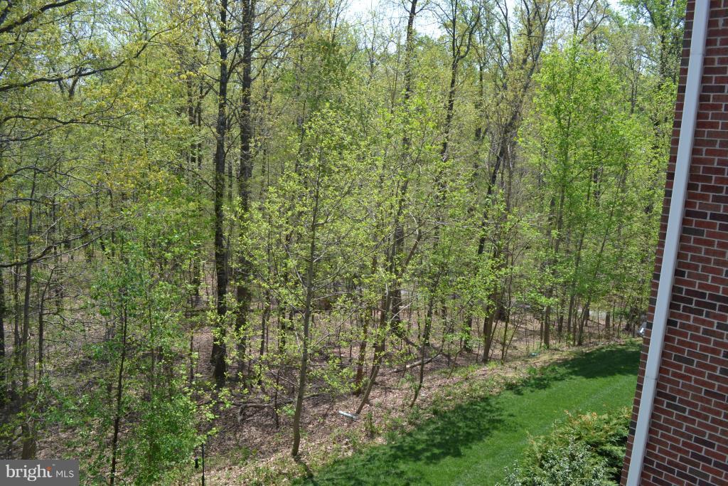 TRALEE FOREST - Residential Lease