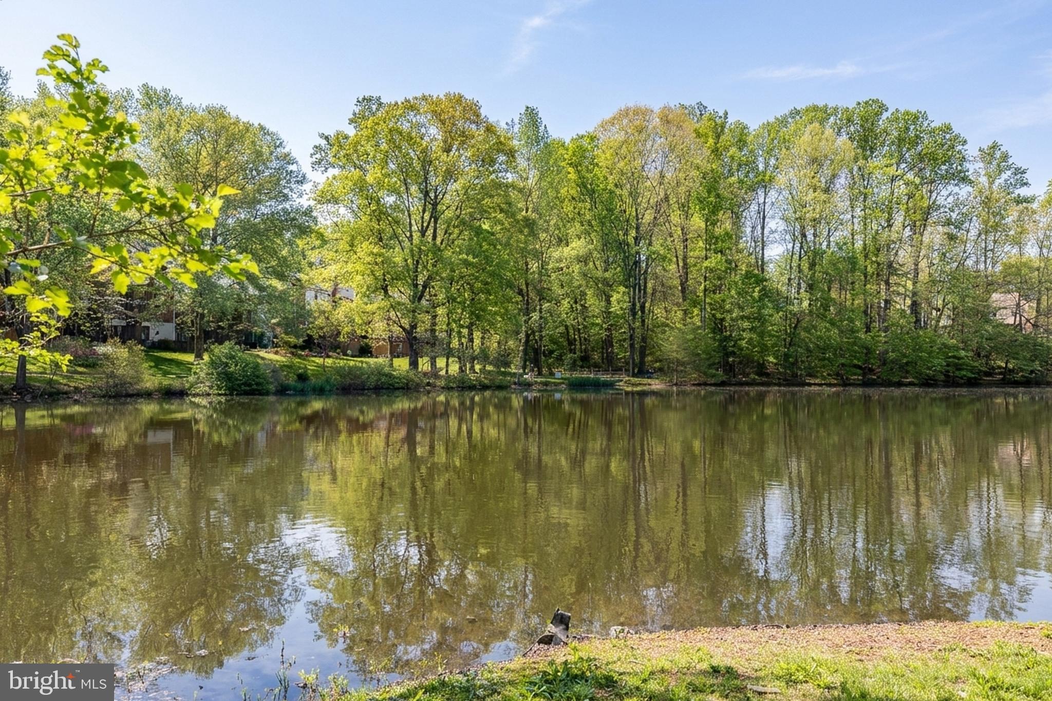LAKE BRADDOCK - Residential