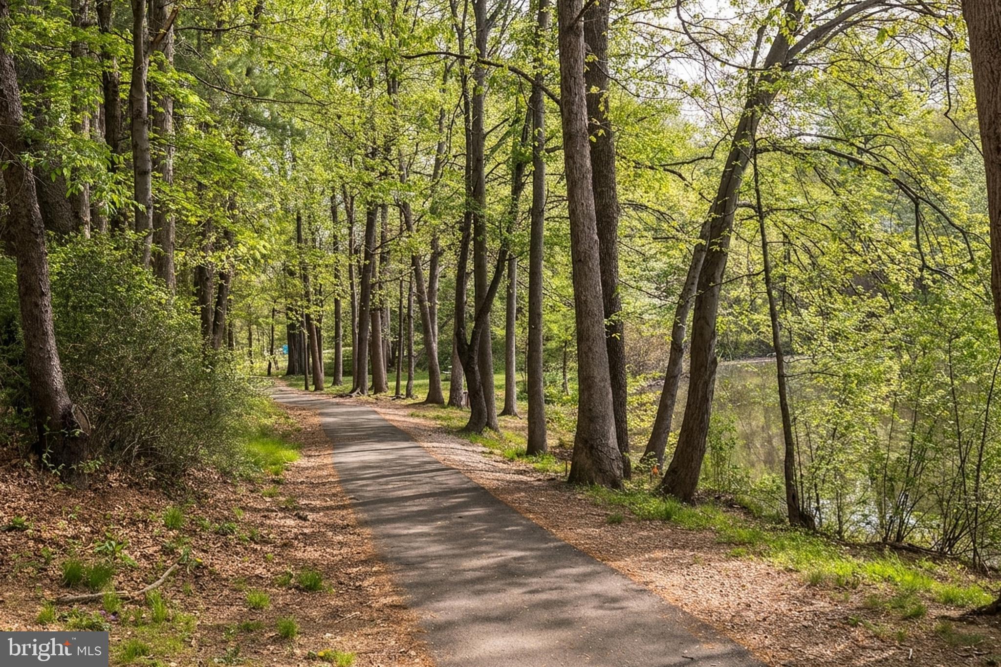 LAKE BRADDOCK - Residential