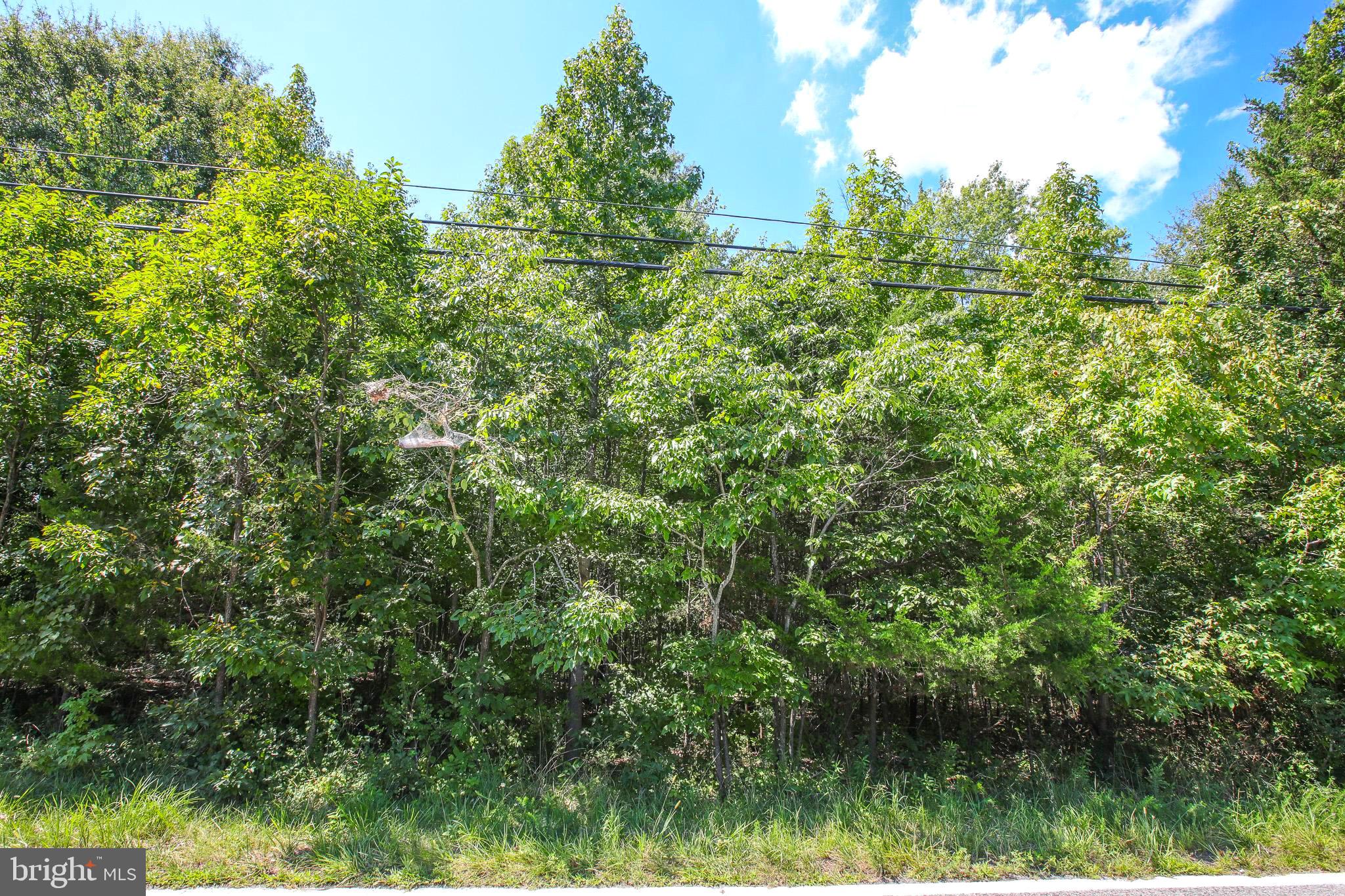 16950, 16960, & 16970 LIVINGSTON ROAD