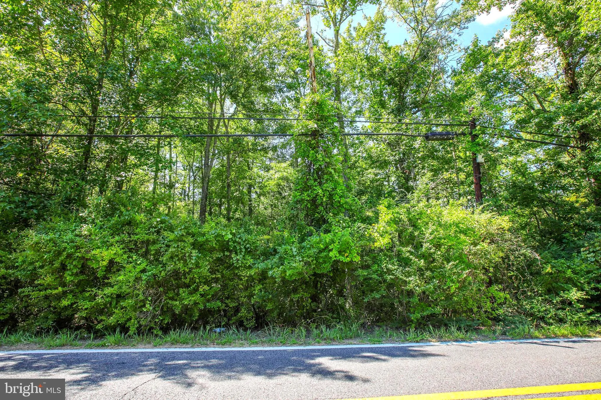 16950, 16960, & 16970 Livingston Road, Accokeek, MD, 20607