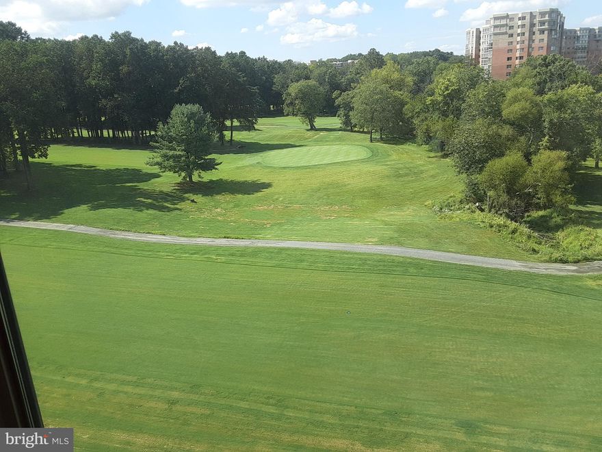 Wow! A one bedroom oasis situated with an enclosed sunroom that shines with floor to ceiling windows overlooking a golf course and wooded area. 55+ community. Brand NEW carpeting/padding throughout. NEW neutral paint. NEW kitchen floor. The HVAC system is 2 yrs old. A unique feature is the cozy remote controlled gas fireplace in the living room with beautiful wood surround and mantle (includes side shelving). Kitchen includes a breakfast alcove (or you can place a small table & chairs). The bar area above the sink opens to the living room. Enjoy the closet space in the bedroom w/a walk-in closet & 2 wall closets. Well lit bathroom has a spacious bathtub that is separate from the relaxing shower area. Additional storage space located in secured room in bldg garage.