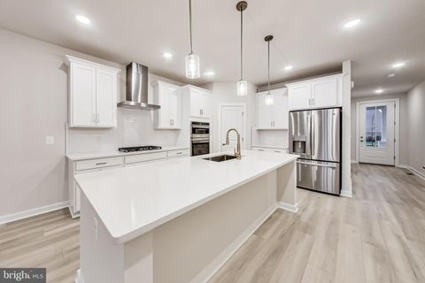 13317 PETREL STREET CLARKSBURG MD 20871