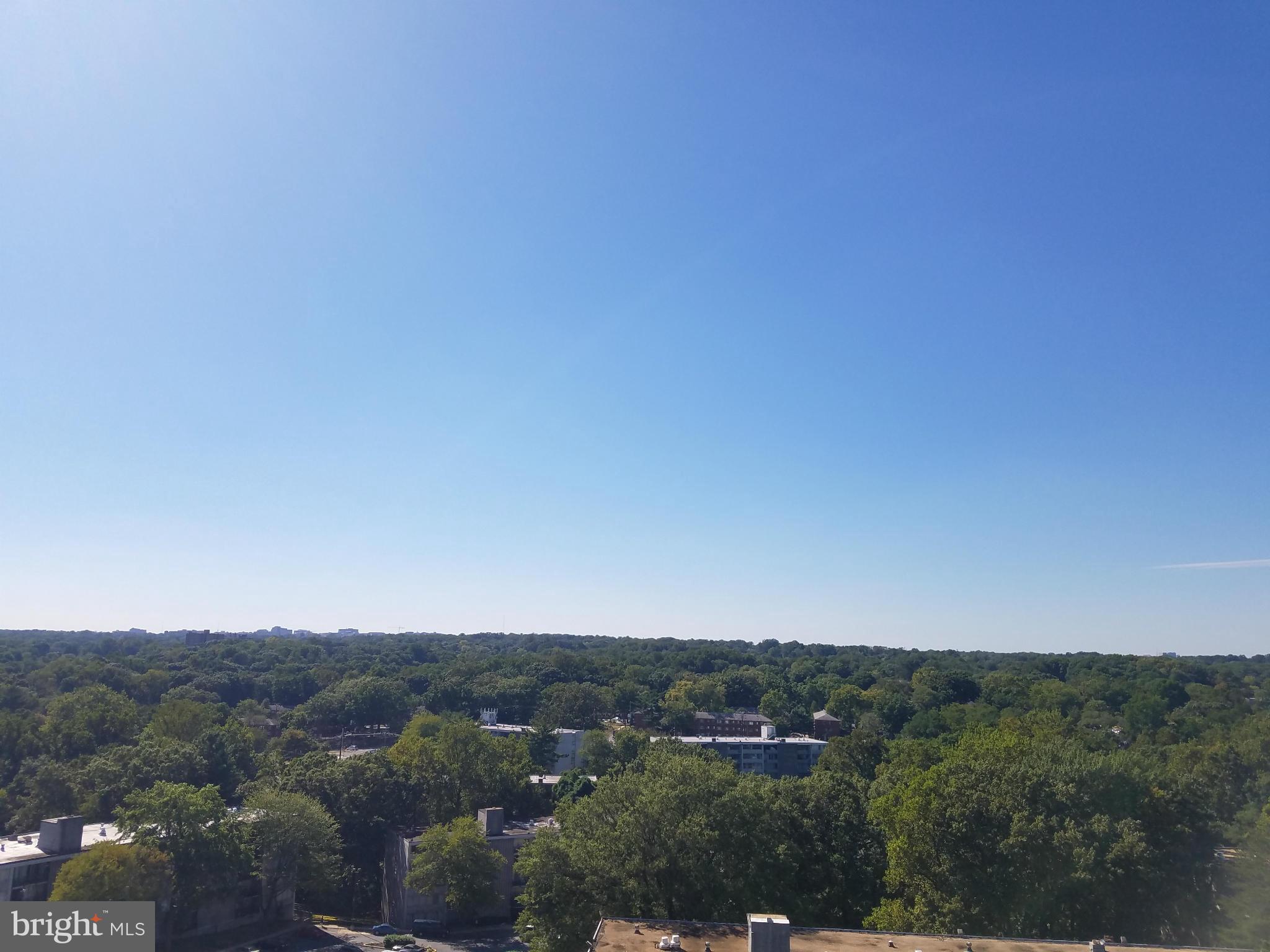 PRESIDENTIAL TOWERS - Residential Lease