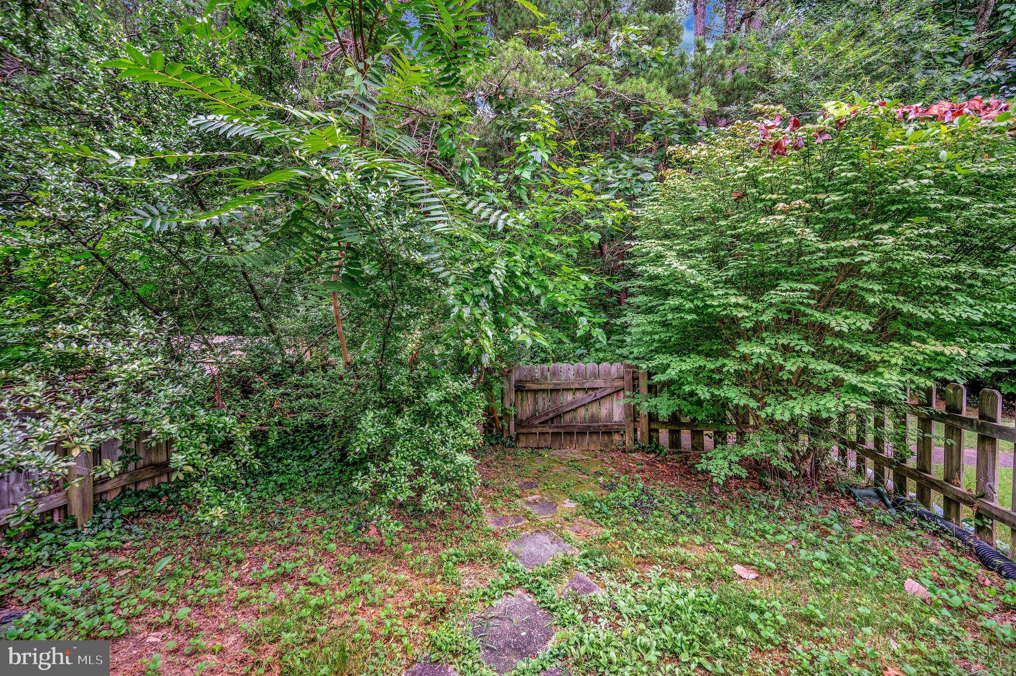 SPRING VALLEY - Residential Lease