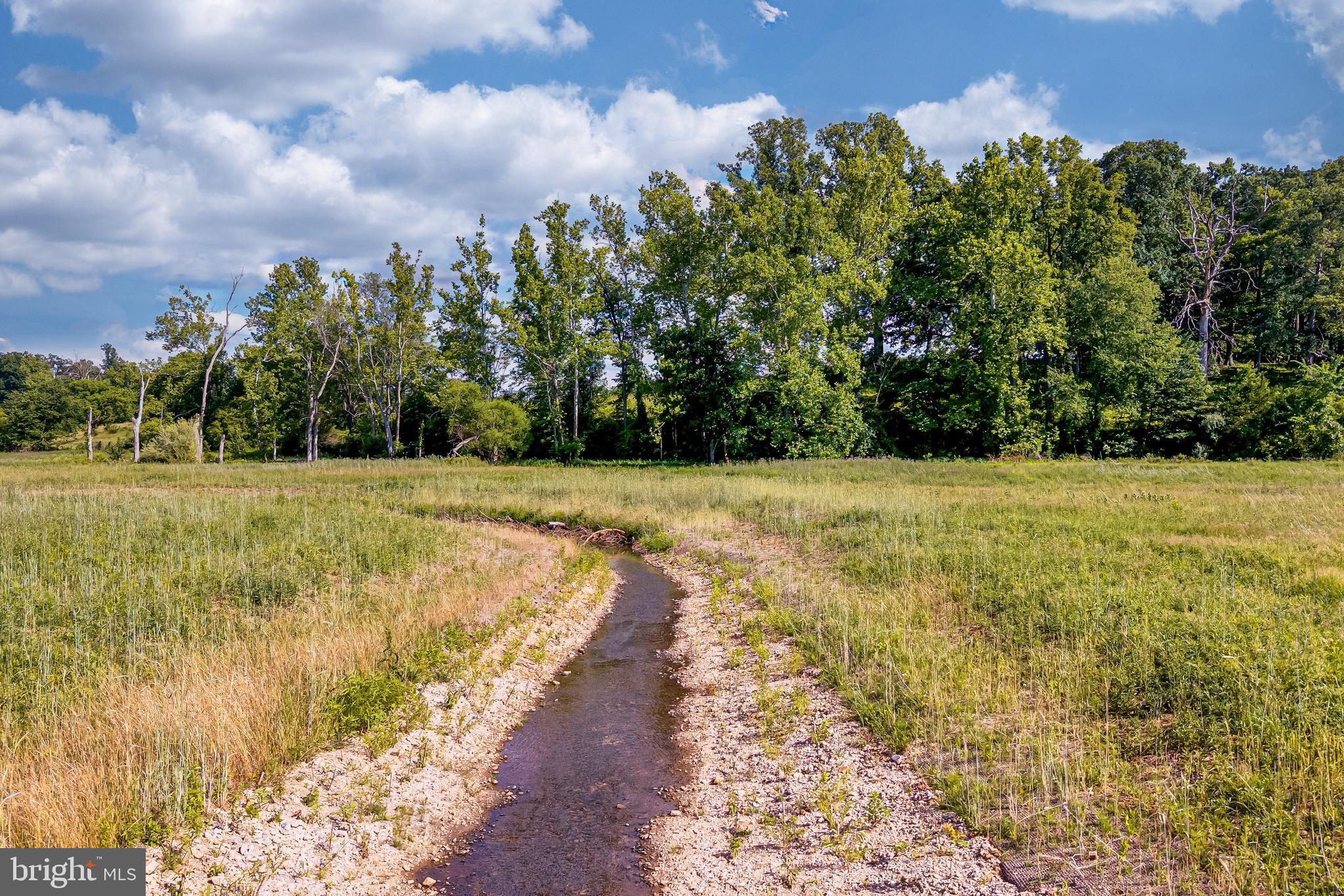 EVERGREEN MILLS ROAD