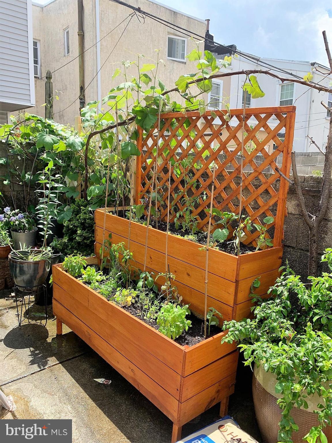 DICKENS SQ - Residential Lease