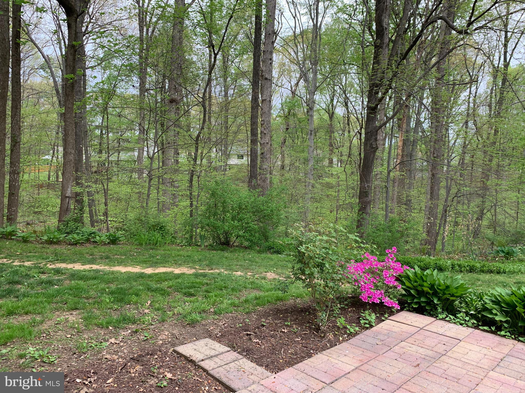 OLD MILL COMMUNITY - Residential