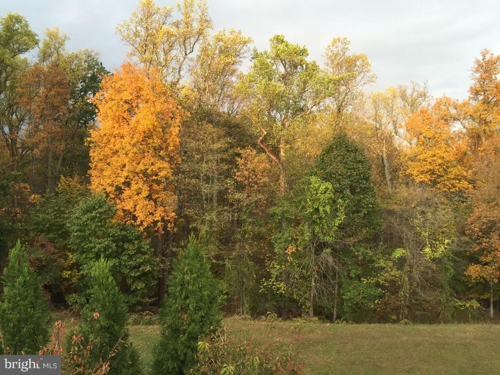 FOX HILLS - Residential