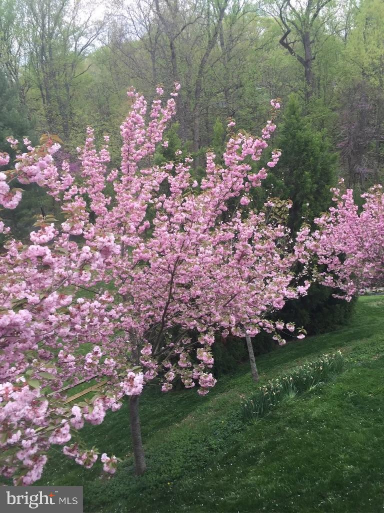 FOX HILLS - Residential