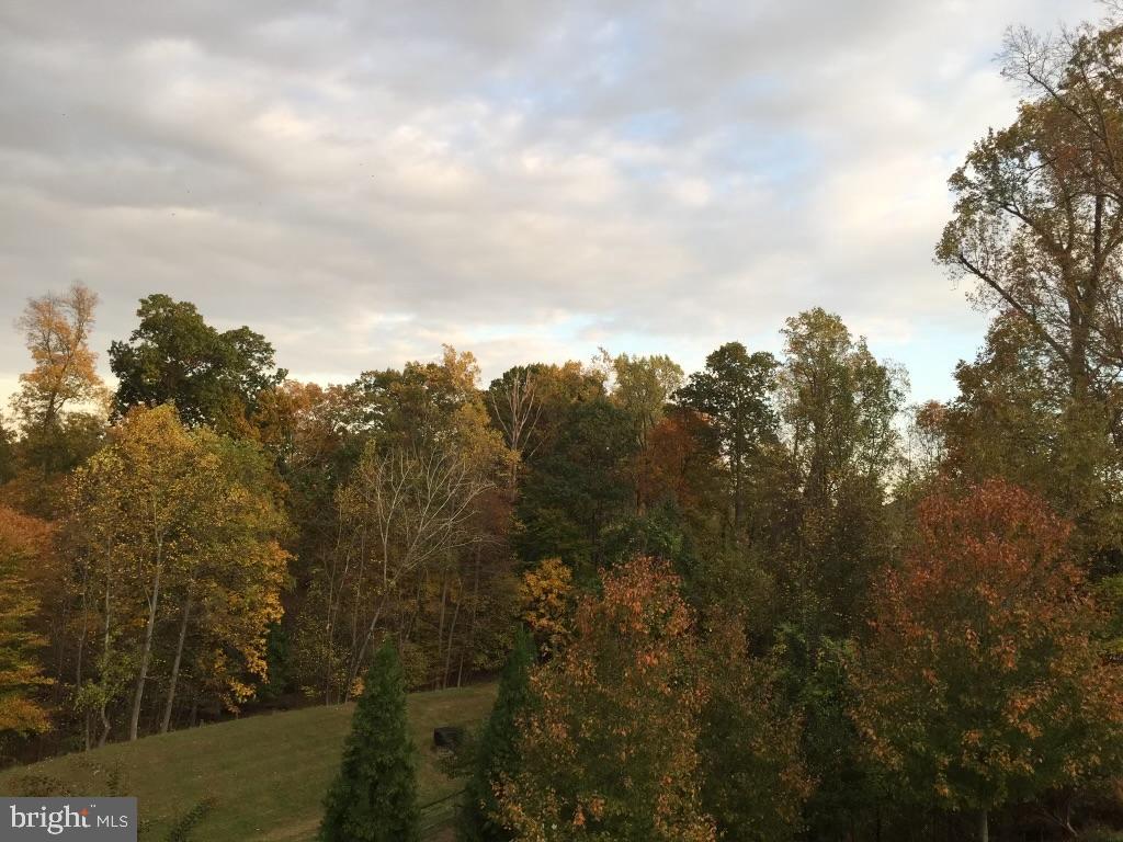 FOX HILLS - Residential