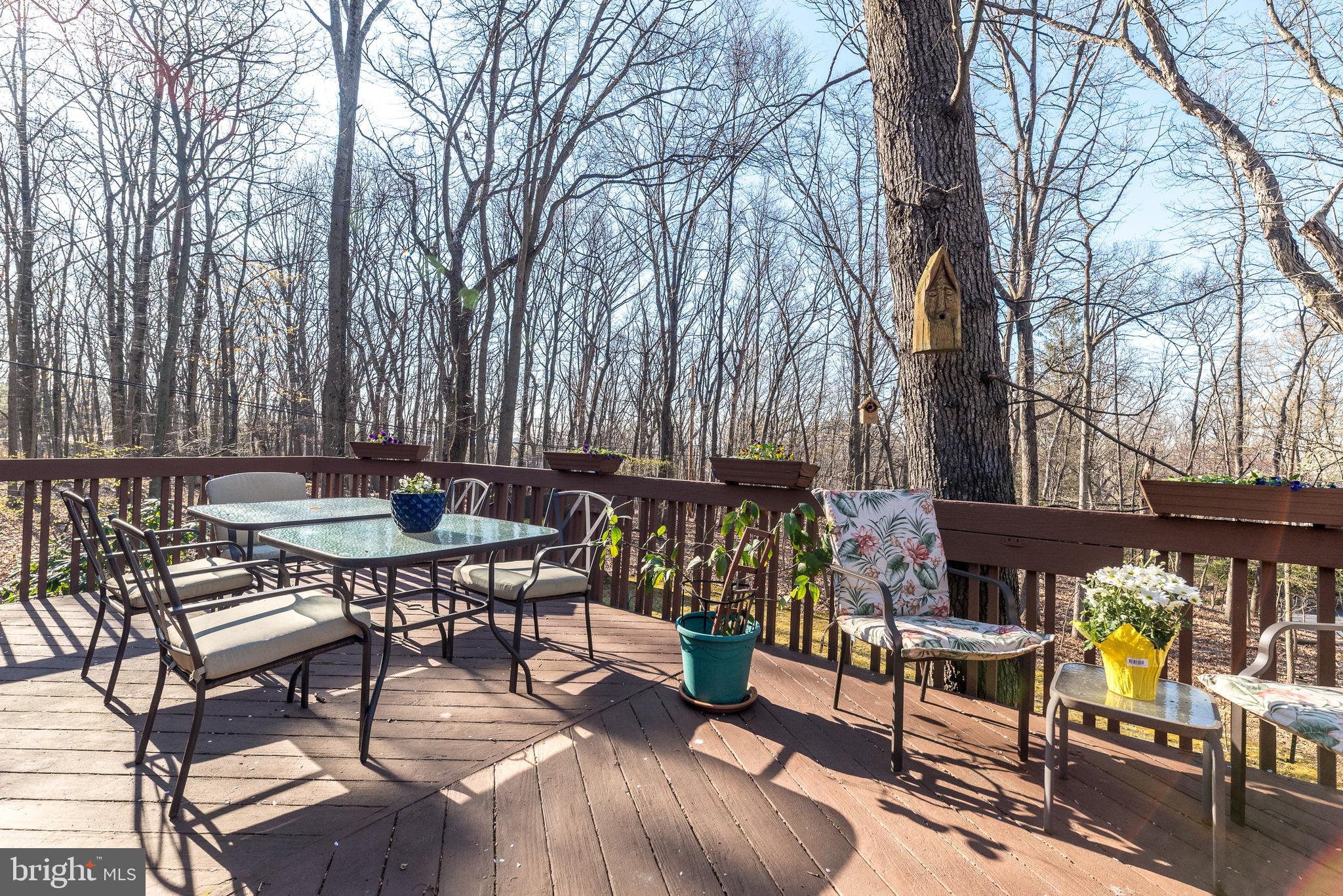 VALLEY FORGE MTN - Residential