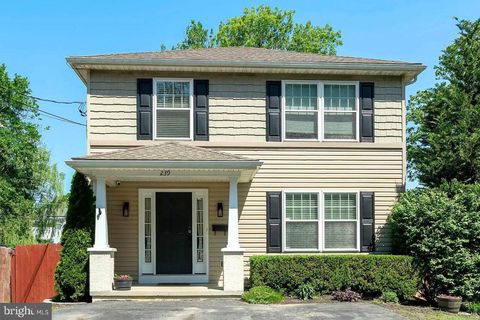 239 RAILROAD AVENUE EPHRATA PA 17522