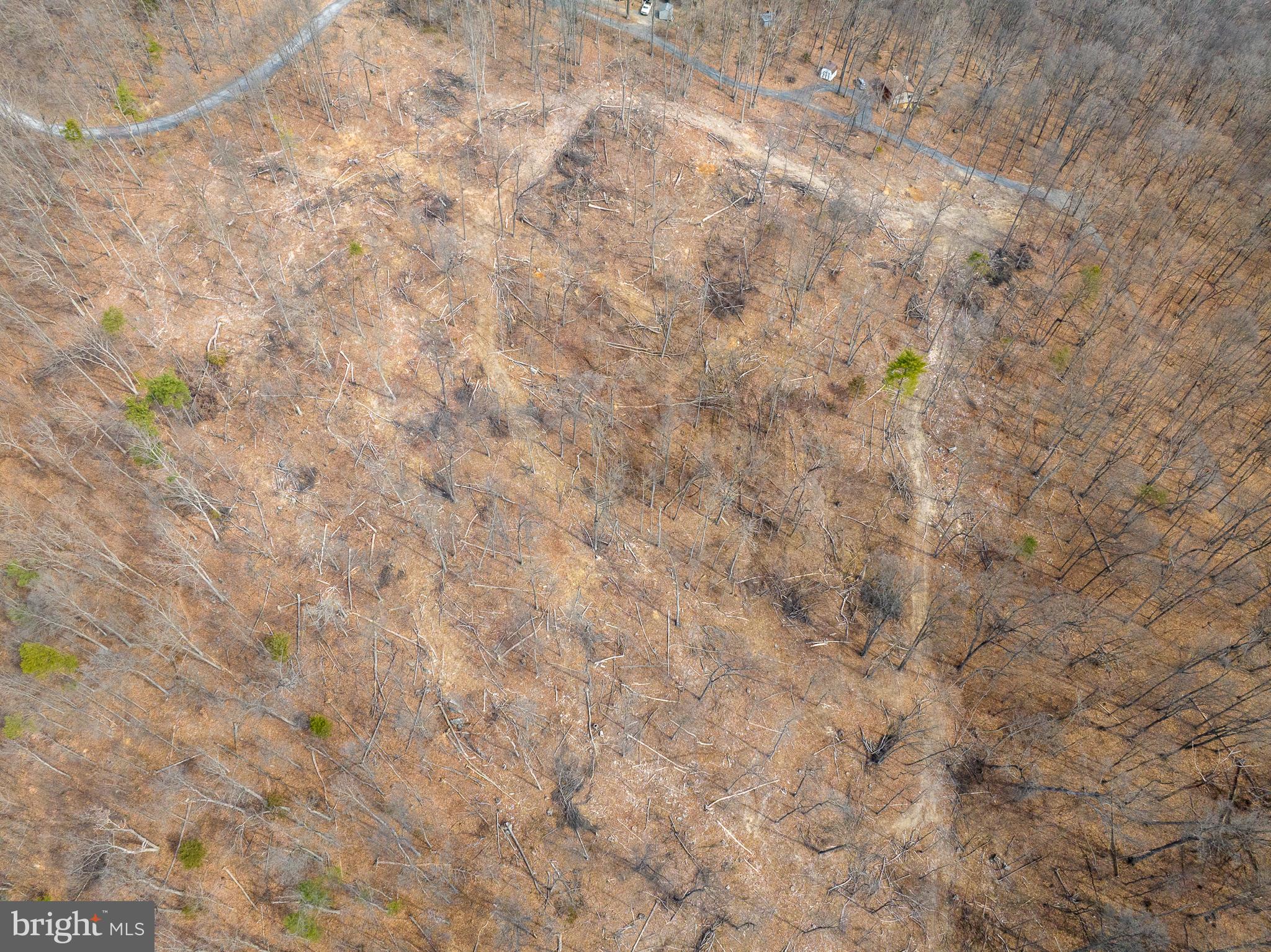 0 MOCKINGBIRD LANE- LOT 21