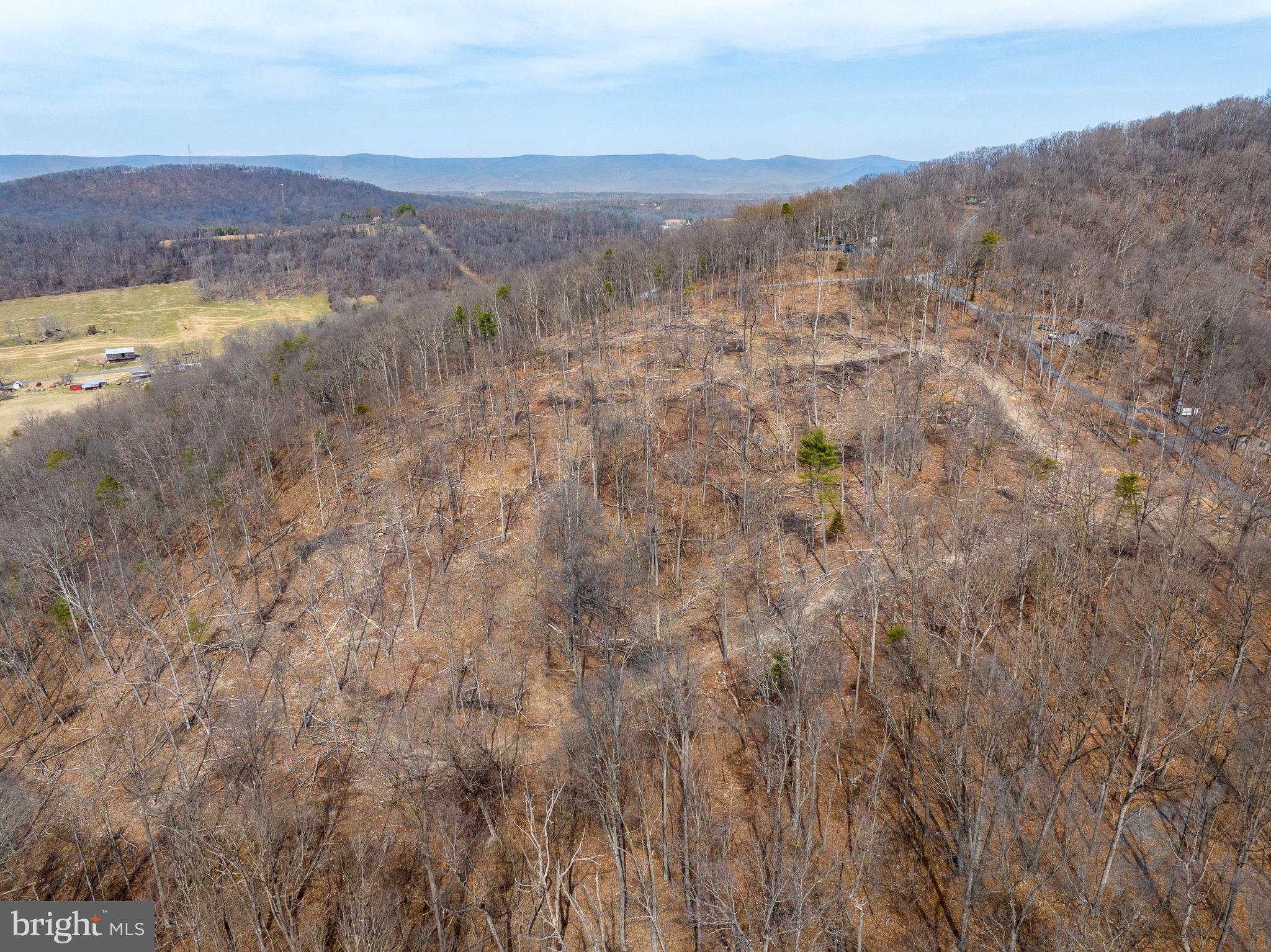 0 MOCKINGBIRD LANE- LOT 21