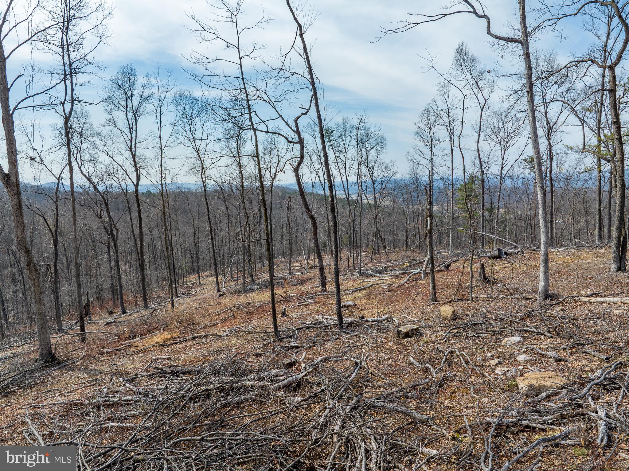 0 MOCKINGBIRD LANE- LOT 21