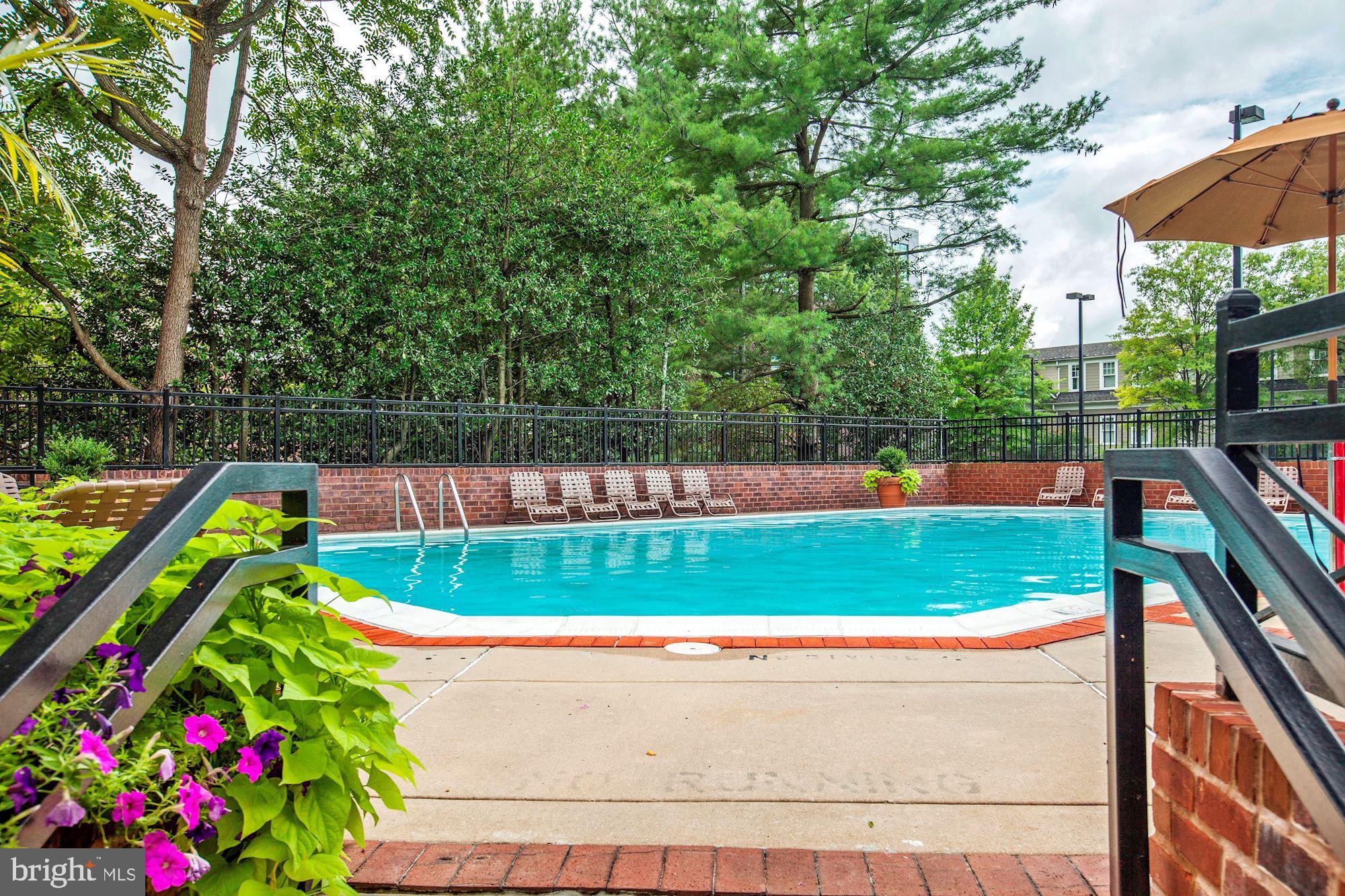 THE CHASE AT BETHESDA - Residential