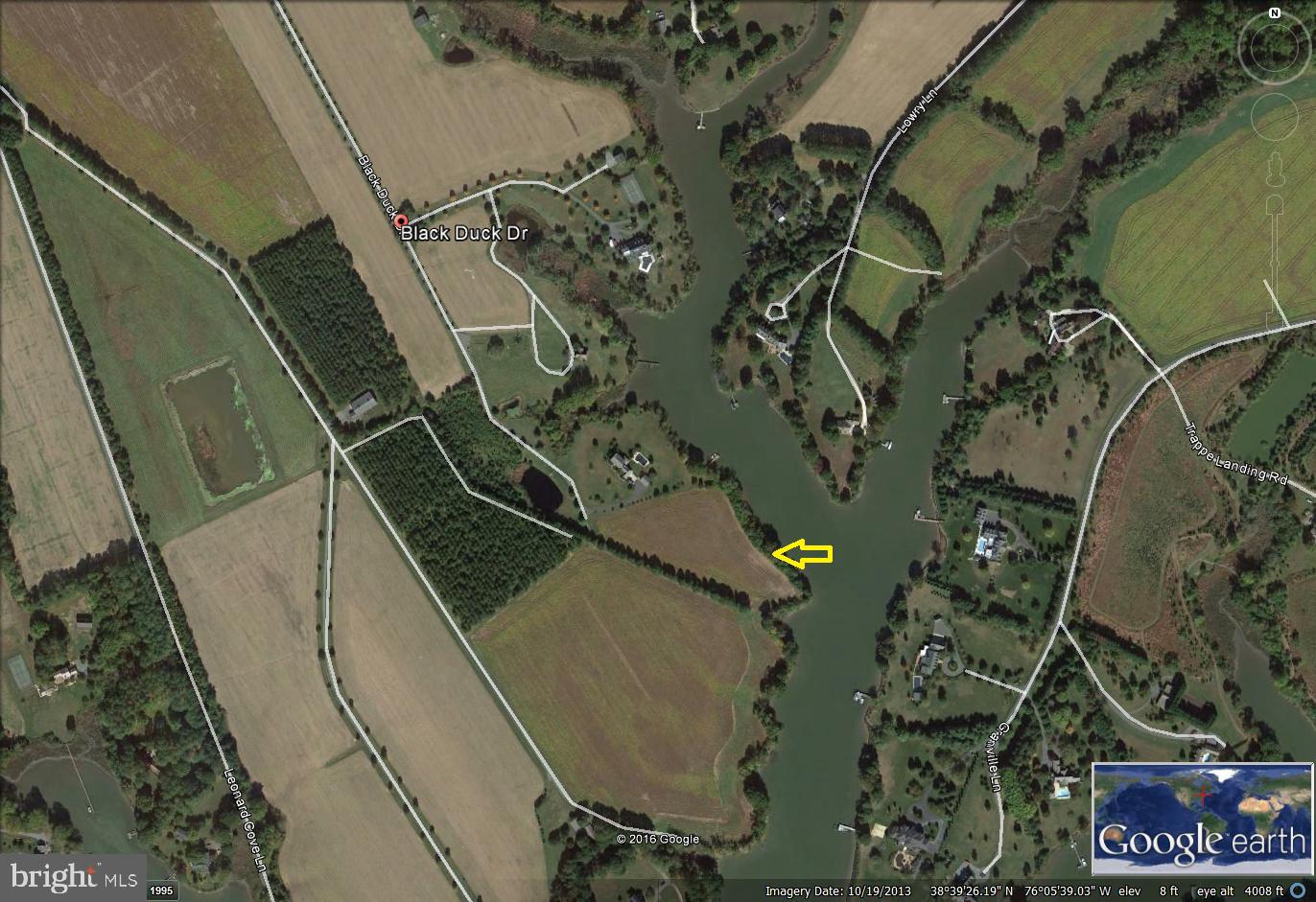 BLACK DUCK DRIVE