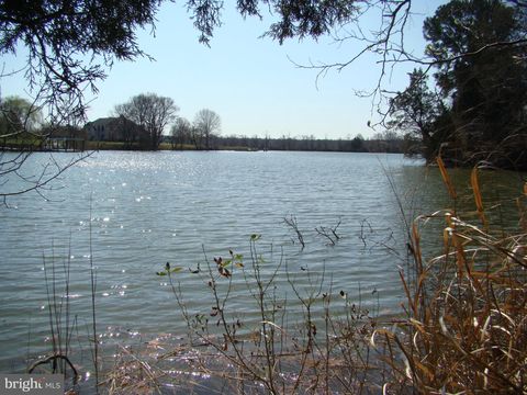 BLACK DUCK DRIVE TRAPPE MD 21673