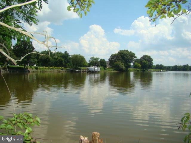 BLACK DUCK DRIVE