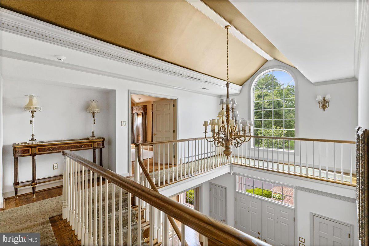 POLO CLUB - Residential