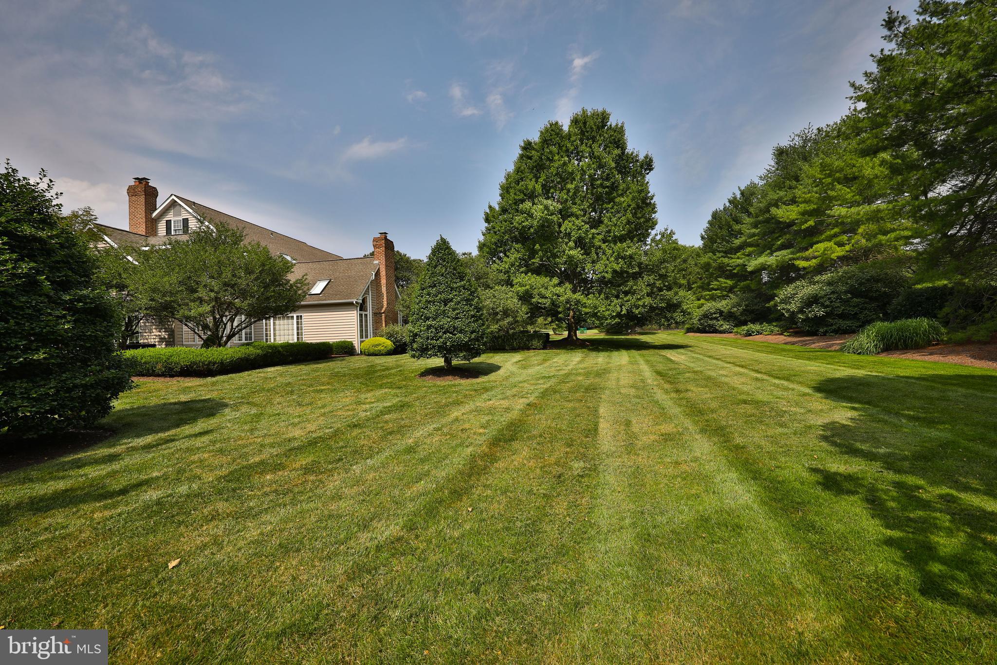 POLO CLUB - Residential