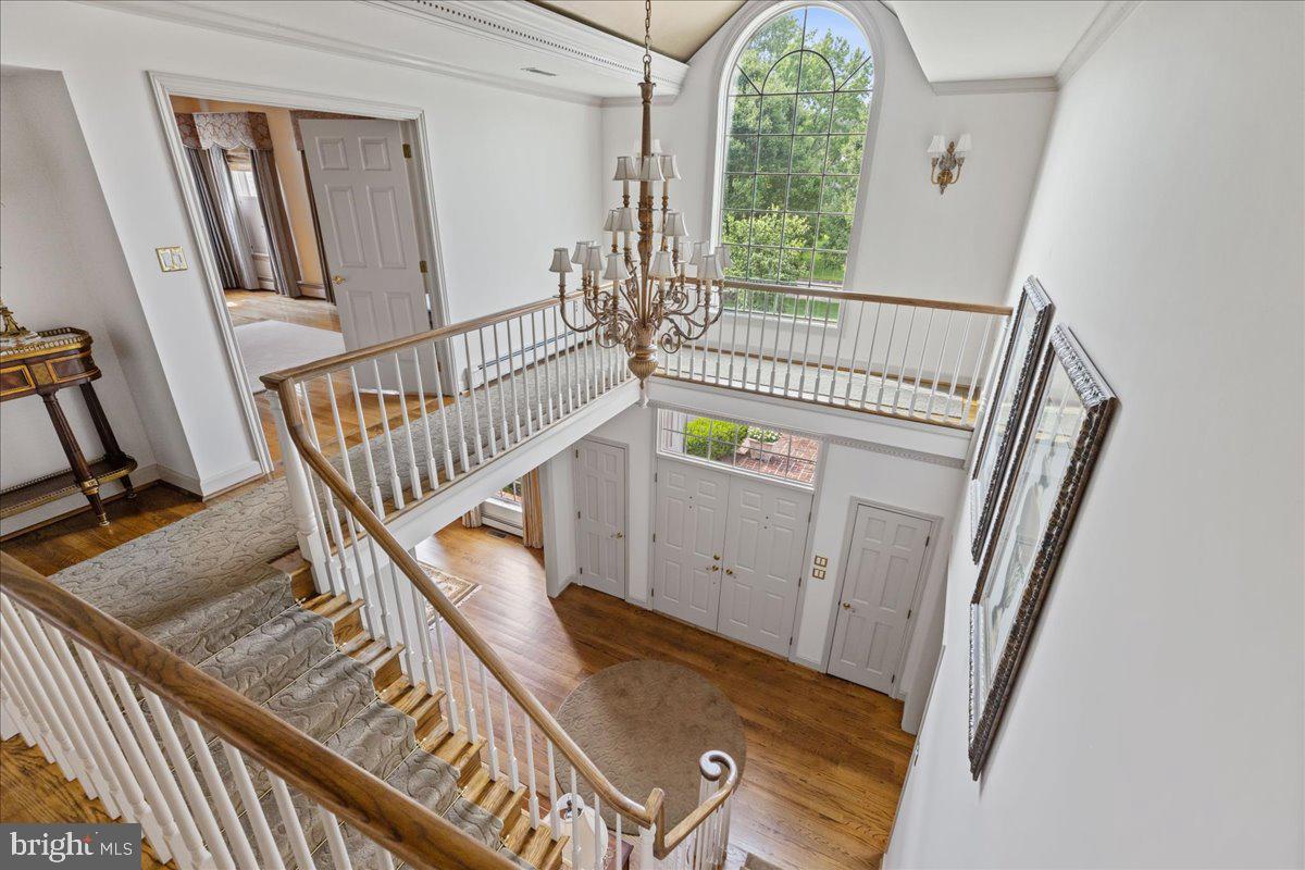 POLO CLUB - Residential