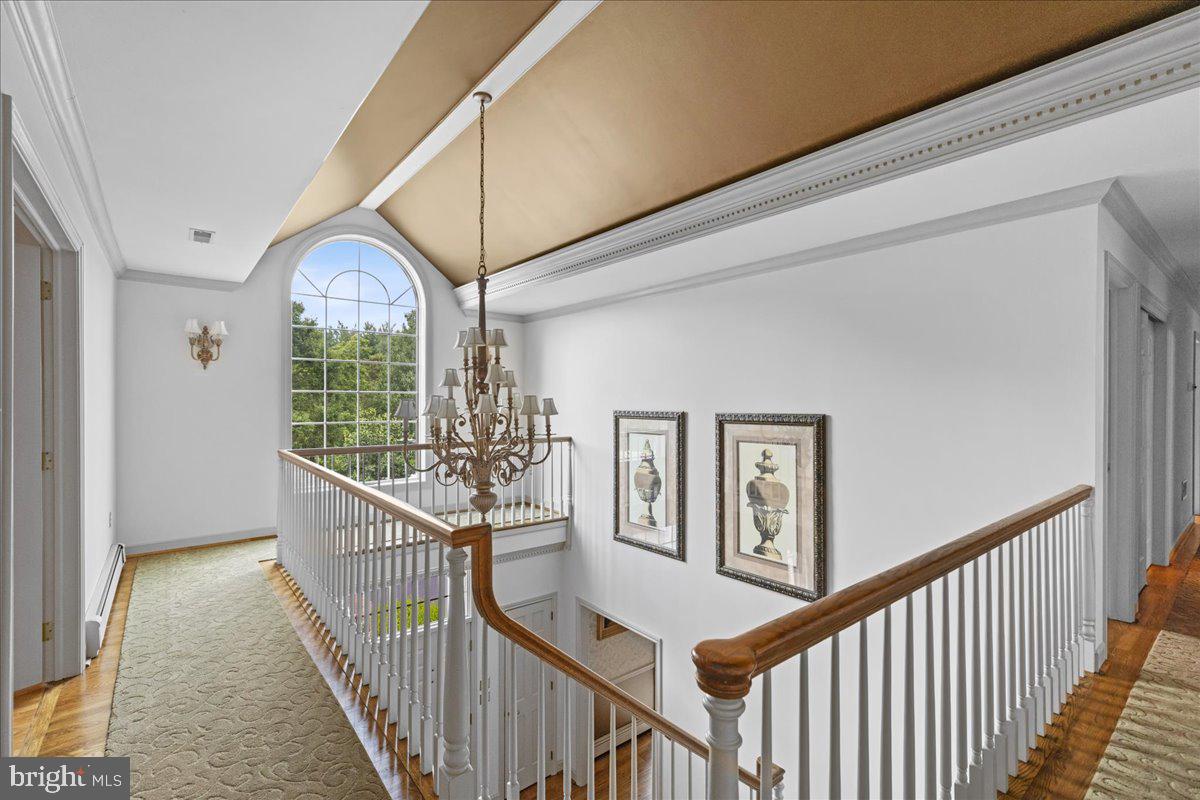 POLO CLUB - Residential