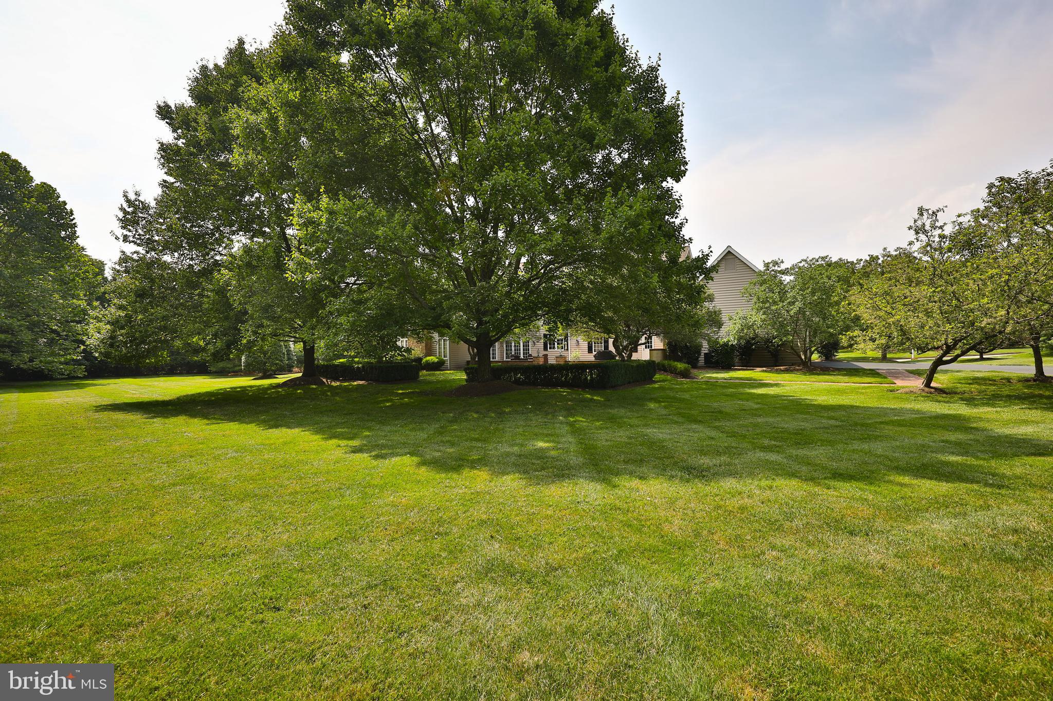 POLO CLUB - Residential