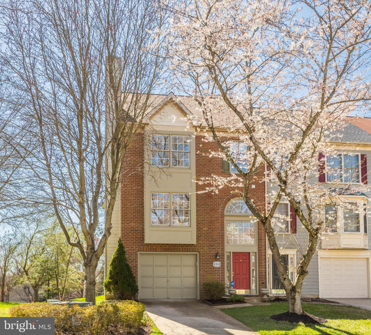 DORSEY SEARCH - Residential