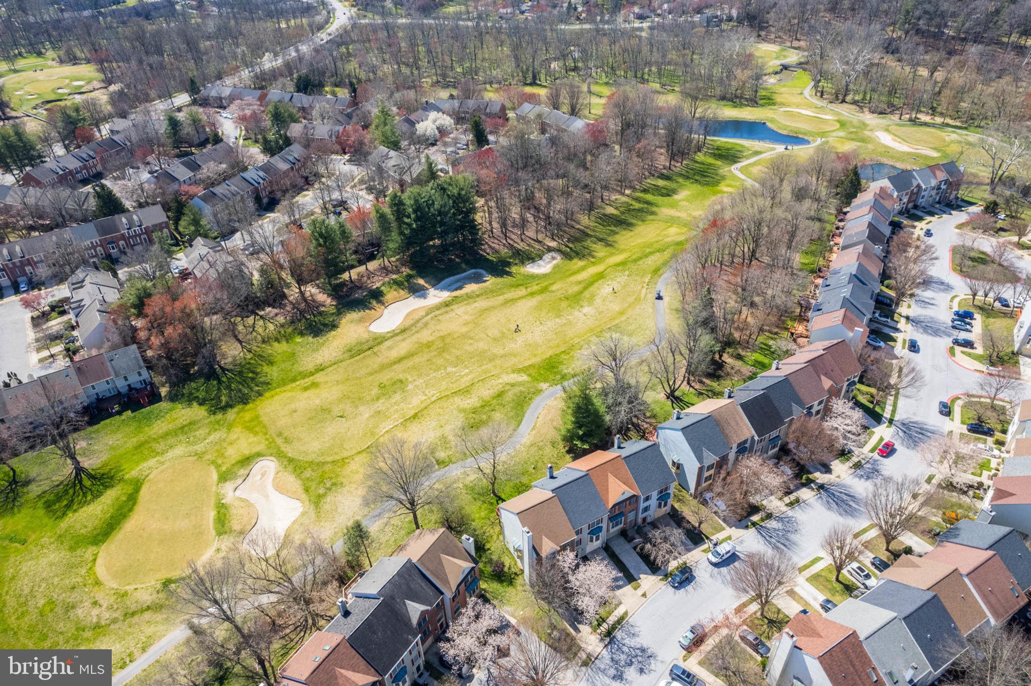 DORSEY SEARCH - Residential