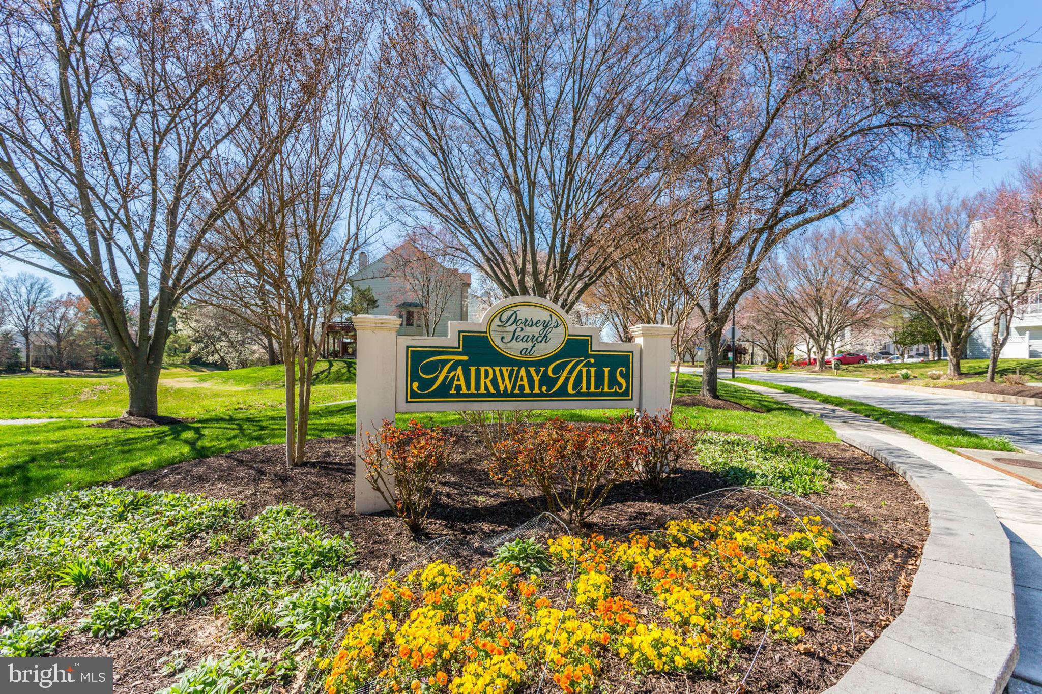 DORSEY SEARCH - Residential