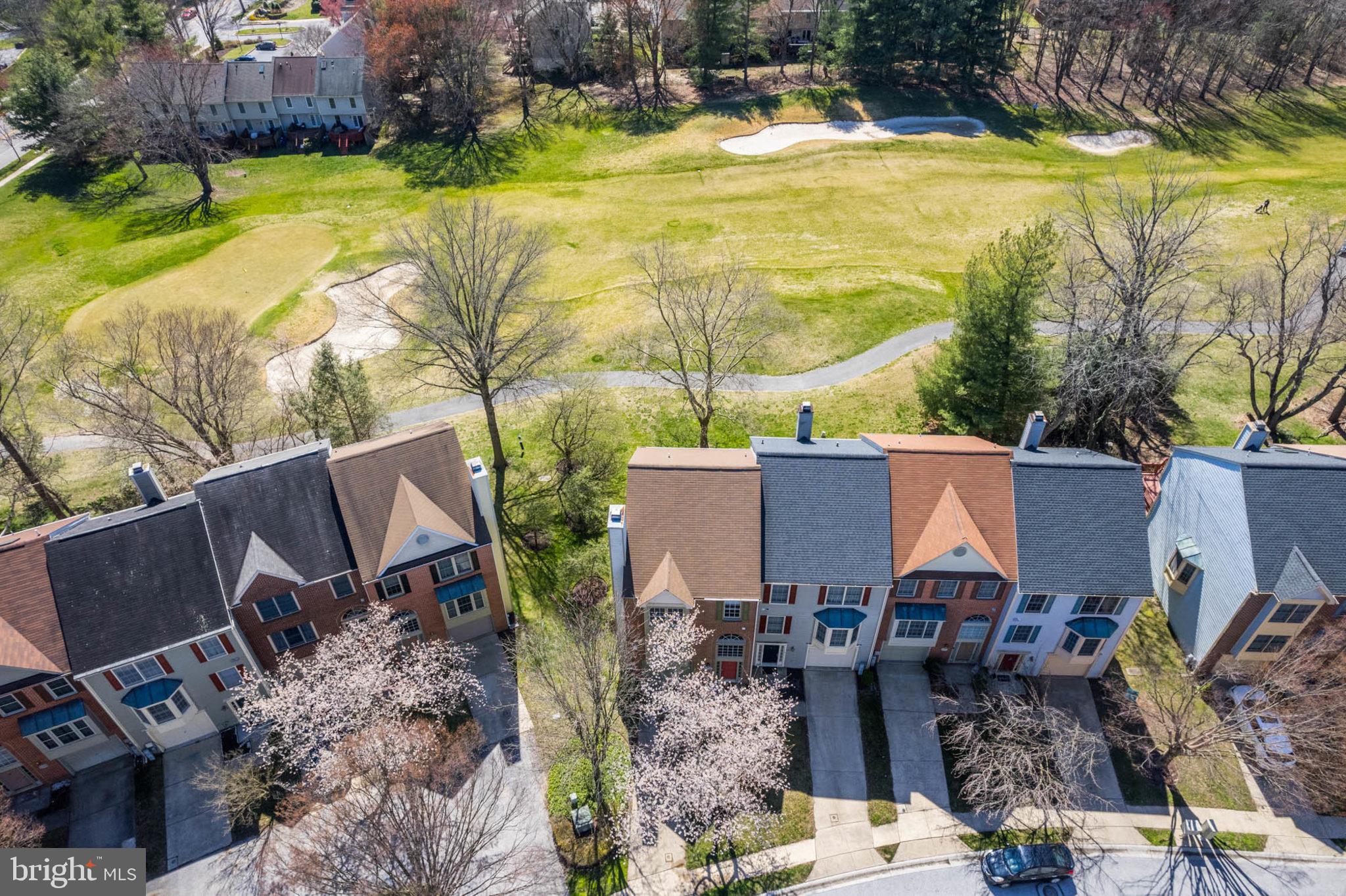 DORSEY SEARCH - Residential