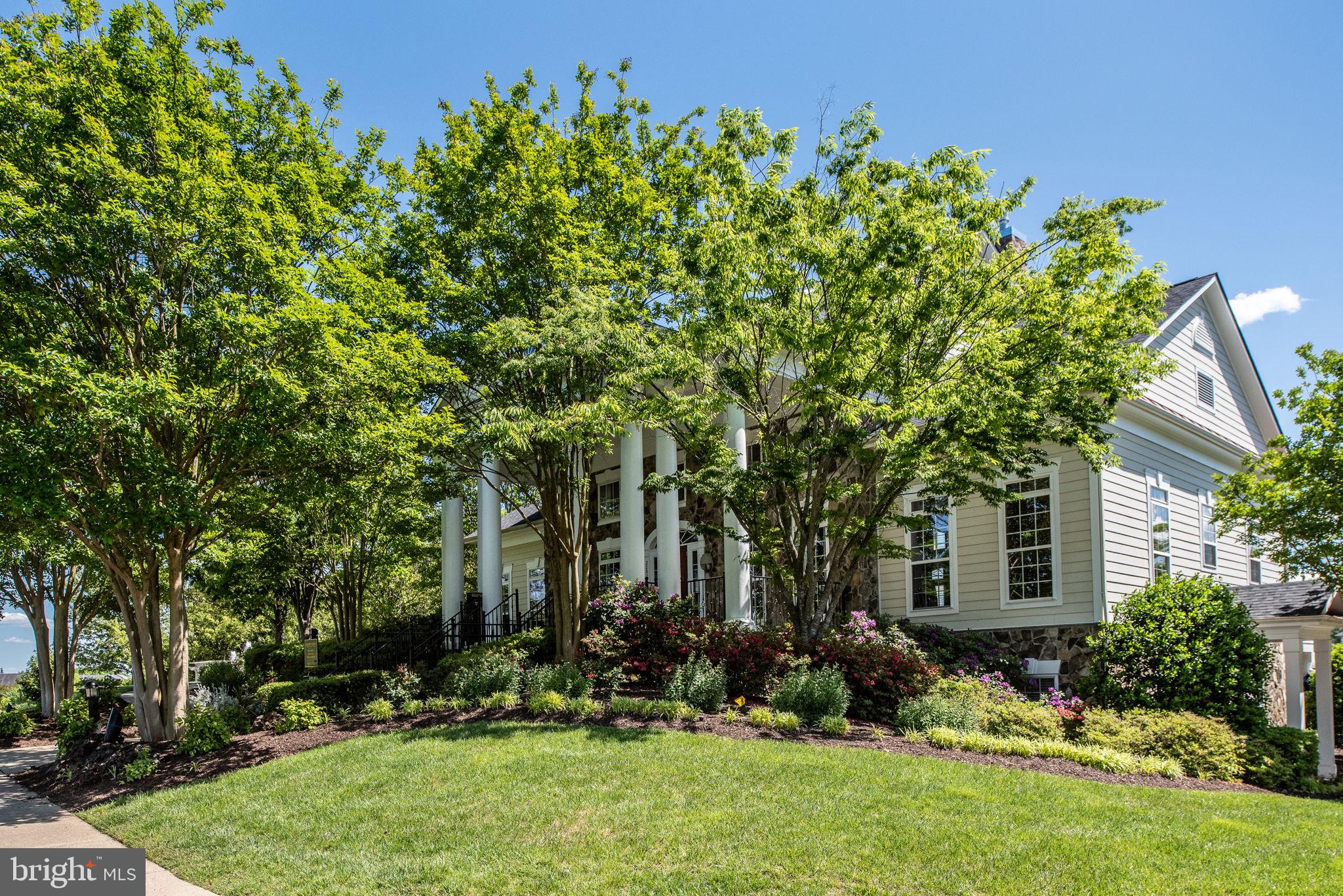 IDLEWILD - Residential