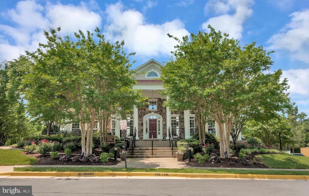 IDLEWILD - Residential