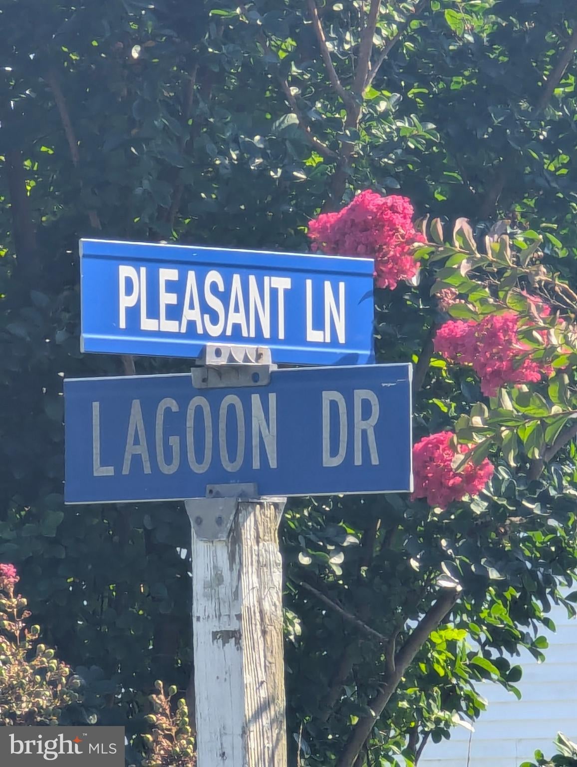 PLEASANT