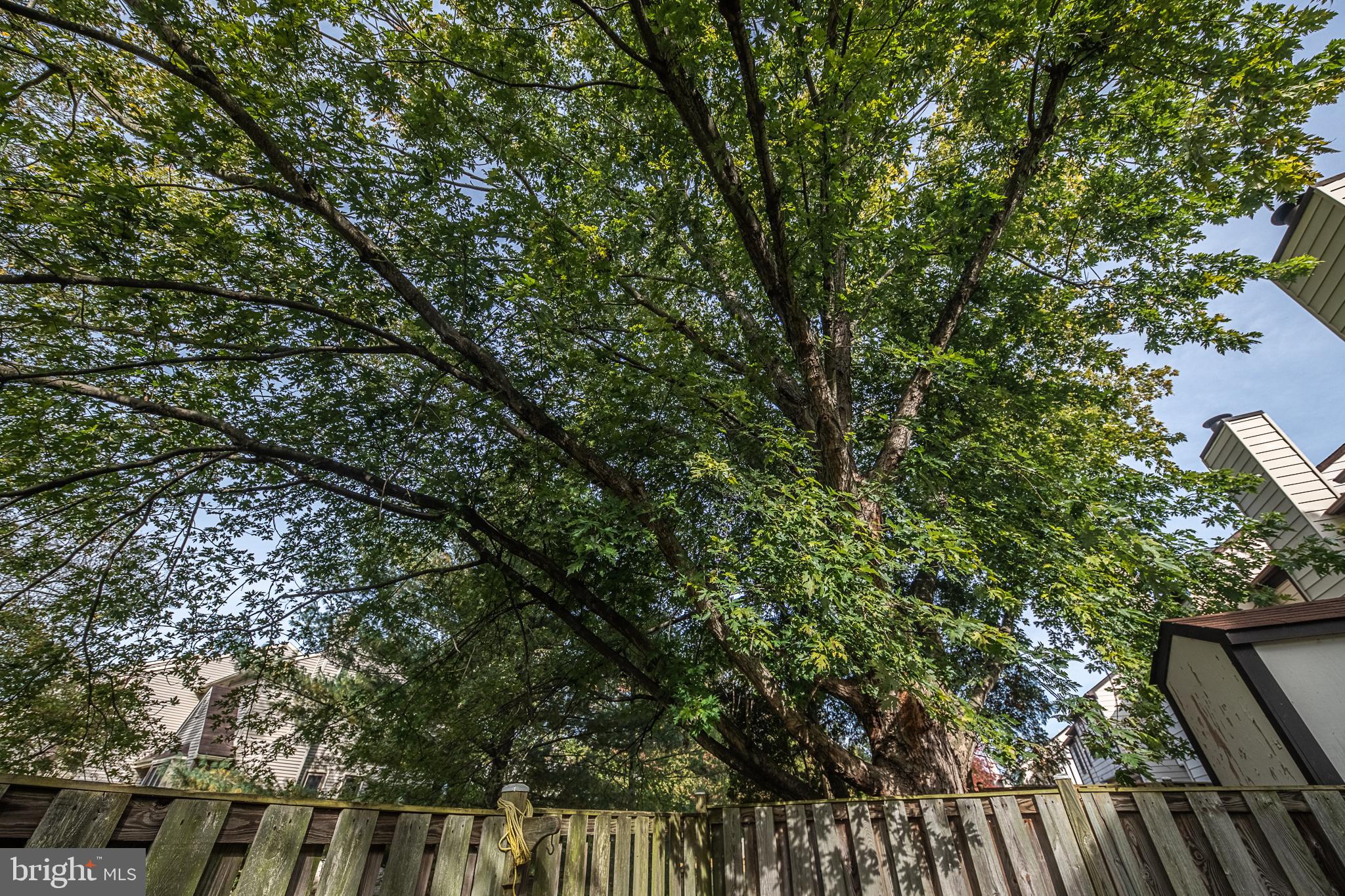 COUNTRYSIDE - Residential